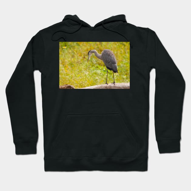 Big Bird Hoodie by EugeJ